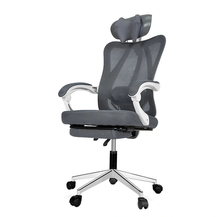 Intelligens officium massage Cathedra
